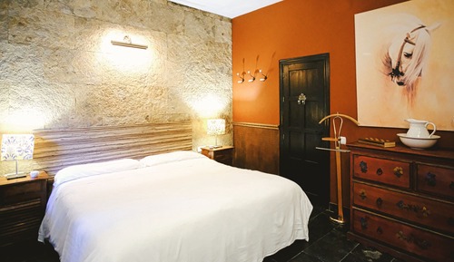 Basic Double Room (3)