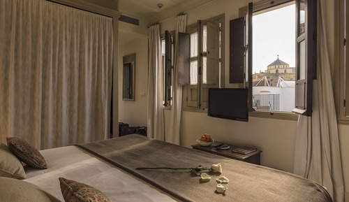Junior Suite, 1 Queen Bed, Terrace