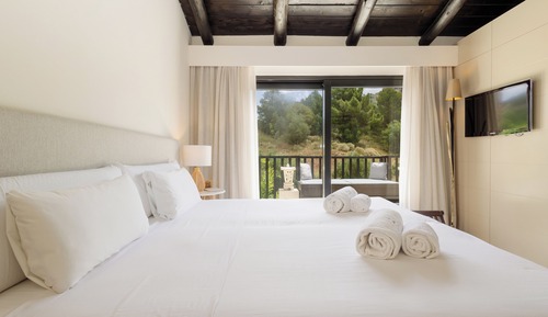 Standard Double or Twin Room, Mountain View