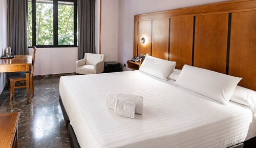 Double Room Single Use, 1 King Bed