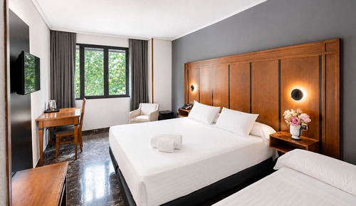 Standard Room (king-size bed + extra bed)