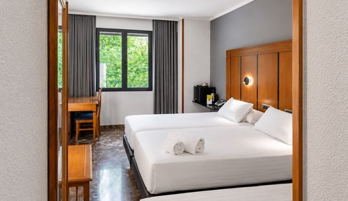 Basic Triple Room