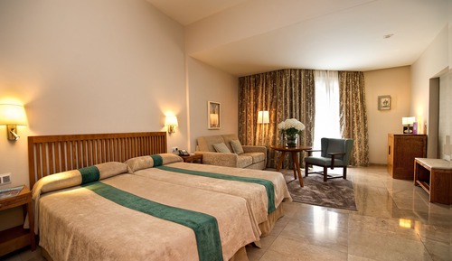 Standard Twin Room (3 adults)