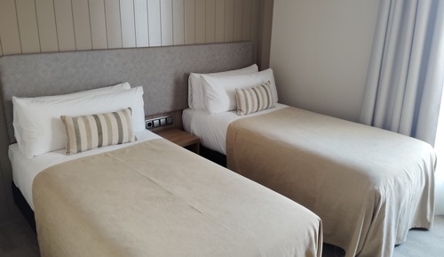 Superior Twin Room, Mountain View