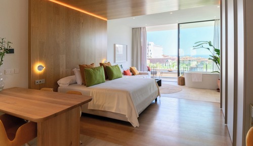 Deluxe Penthouse