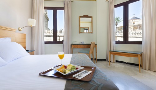 Double Room (Mezquita View)