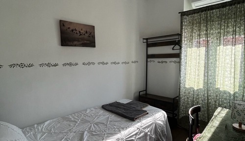 Classic Single Room