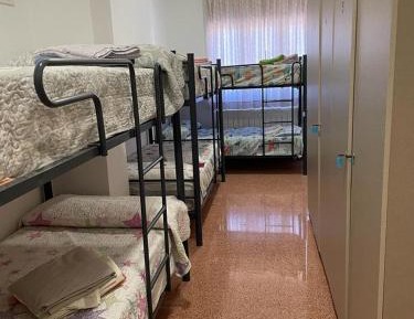 Bed in 6-Bed Dormitory Room