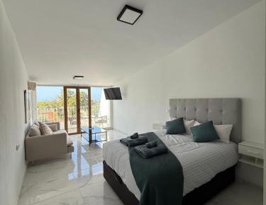 One-Bedroom Loft Apartment with One Queen Bed