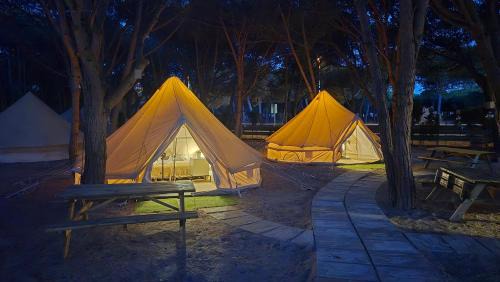 Tent