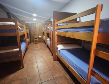 Bunk Bed in Mixed Dormitory Room