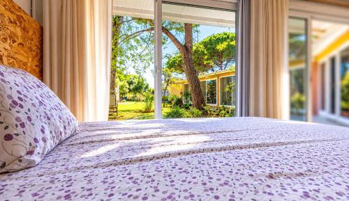 Queen Room with Garden View