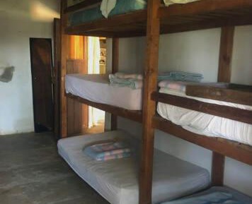 Bed in 8-Bed Dormitory Room