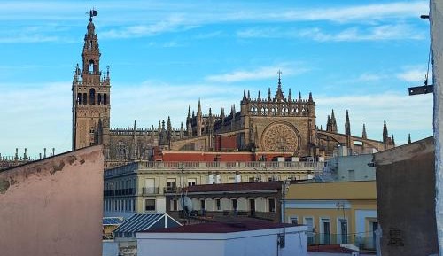 Three-Bedroom Apartment with View