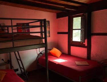 Single Bed in Female Dormitory Room