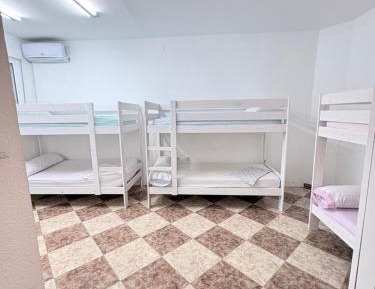 Bed in 6-Bed Mixed Dormitory Room