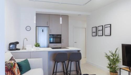 Deluxe One-Bedroom Apartment