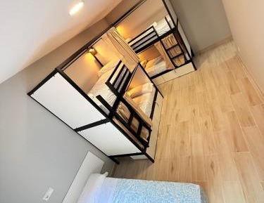 Bunk Bed in Mixed Dormitory Room