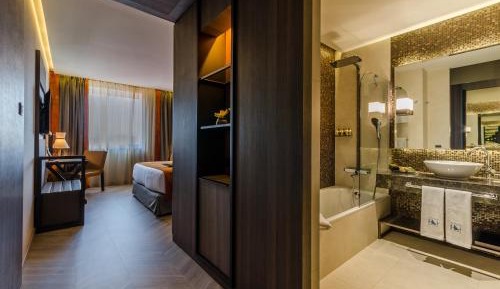 Deluxe Double or Twin Room