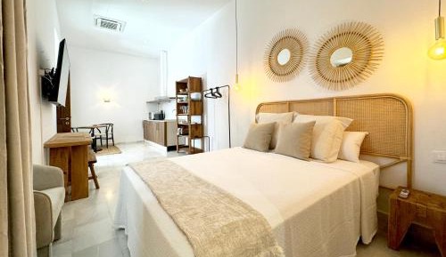 One-bedroom Loft Apartment 
