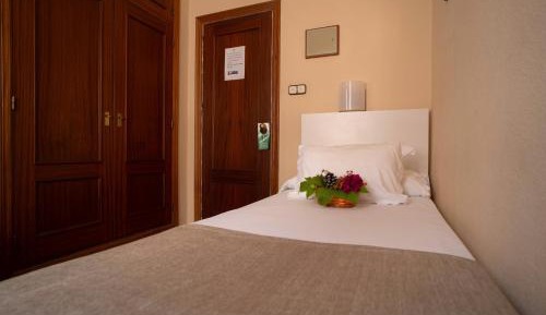 Economy Single Room