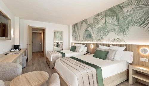Premium Double Room