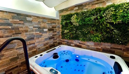 One-Bedroom Apartment with Spa Bath