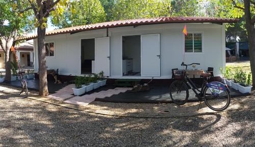 Mobile Home