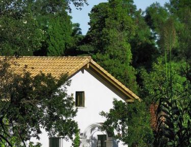 Three-Bedroom Villa (8 Adults)