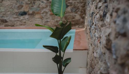 Two-Bedroom Apartment with Pool