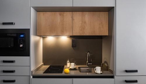 Deluxe Apartment with shower