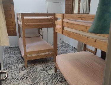 Bunk Bed in Mixed Dormitory Room