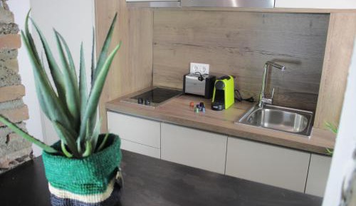 Studio Apartment