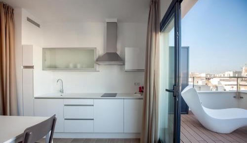Penthouse Apartment with Terrace
