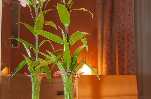 Camino de Ronda Hotel | Hotel Ana María