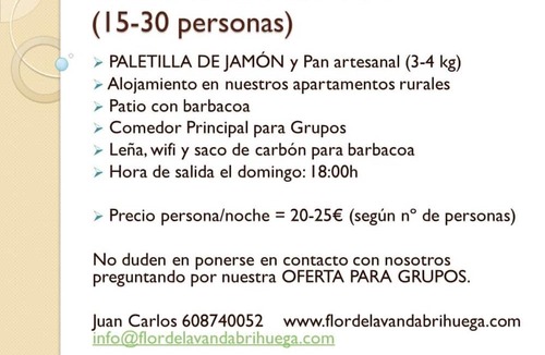 Brihuega Cottage | Flor de Lavanda Apartments (30 pers) Ideal for Groups