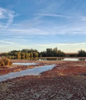 Manganeses de la Lampreana Apartment | Apartamento Pinilla Lagunas de Villafáfila