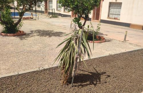 La Aljorra Villa | El Rincón del Olivo