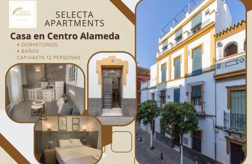 Feria House | Selecta Casa central Alameda