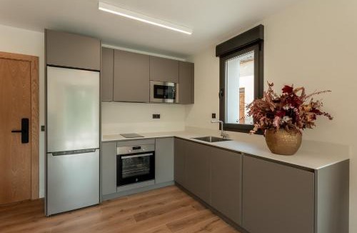 San Miguel de Bernuy Apartment | Apartamentos Duratón