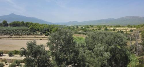 Moratalla House | Casa Rural Garrido