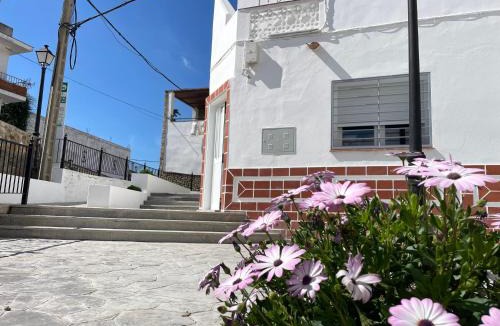 Facinas Apartment | El Rincón de Manoli