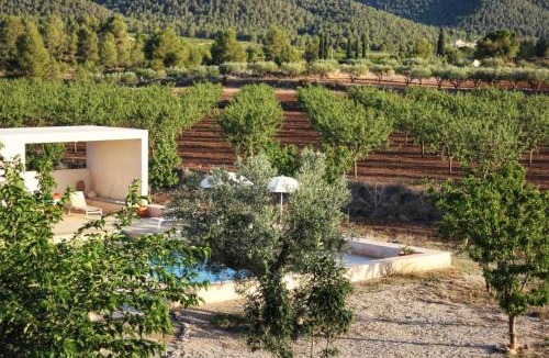 Bullas House | Casa para tres hermanas