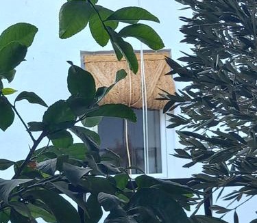 Baena House | Guesthouse Jazmines Mozarabe