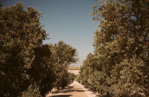 Jerez de la Frontera Hotel | La Carreña