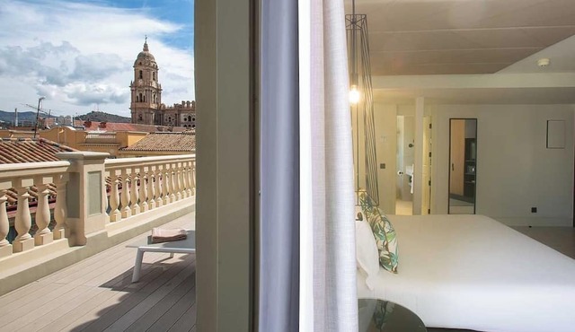 Hotel Vincci Larios Diez