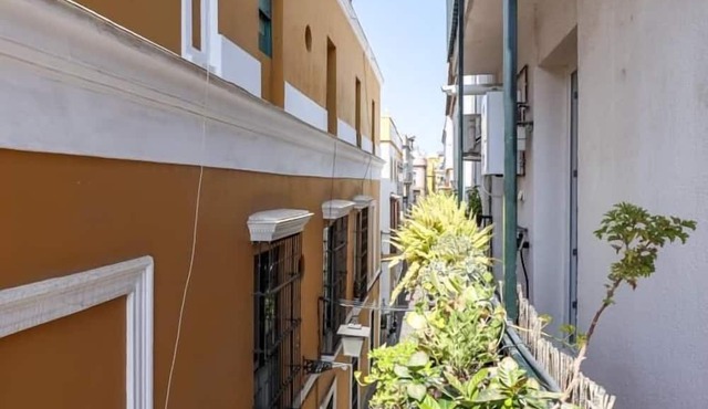 PEACE OASIS IN THE HEART OF SEVILLA 2 BR - 2 Baths WIFI AC