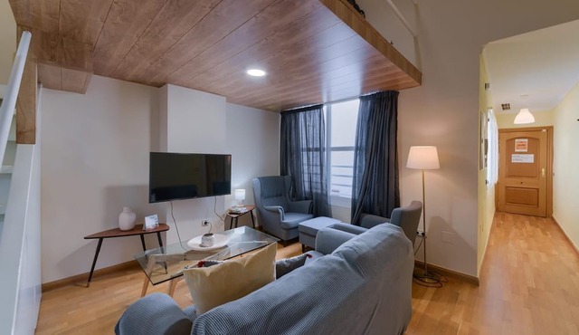 Central bright and cozy penthouse for 4 people