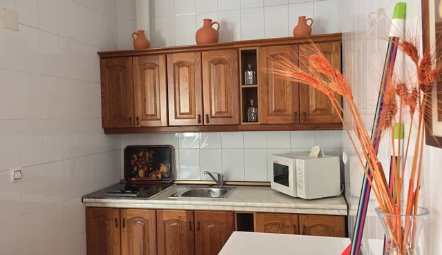 Apartment 11 (WIFI + Patio + Parking) in Zafra