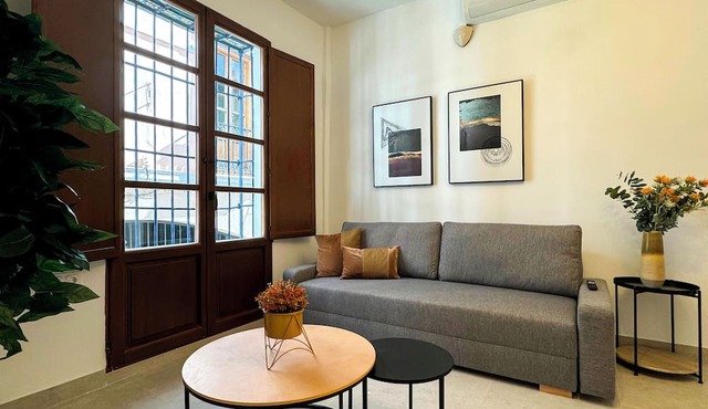 Apartamentos Plaza San Agustin 3000